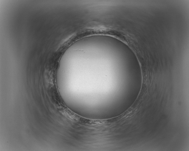 X0000080791205200701021215