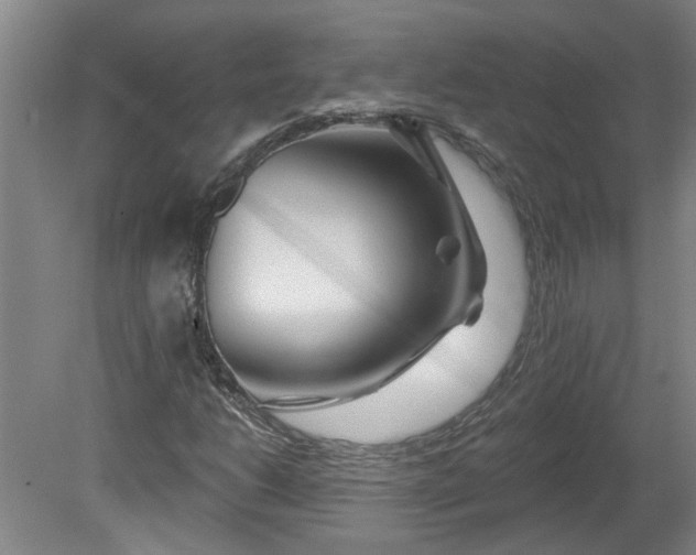 X0000080791206200701021215