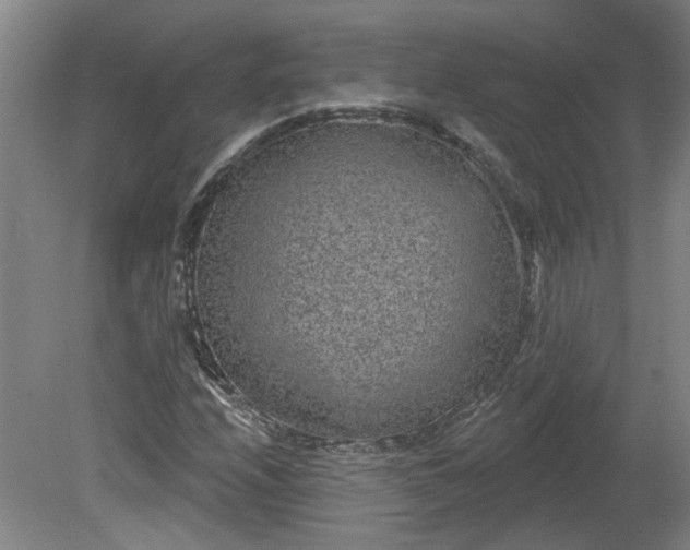 X0000080791208200701021215