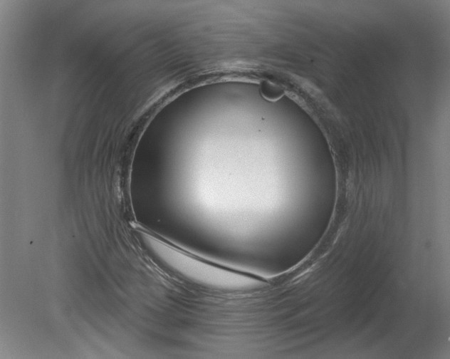 X0000080791209200701021215