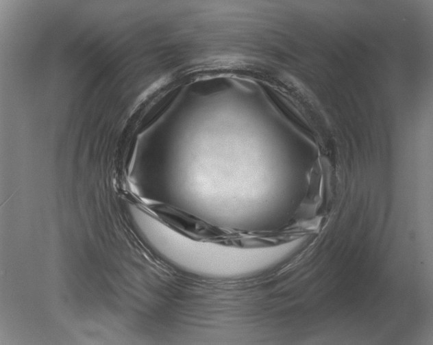 X0000080791210200701021215