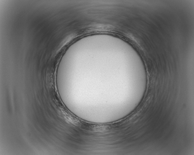 X0000080791211200701021215