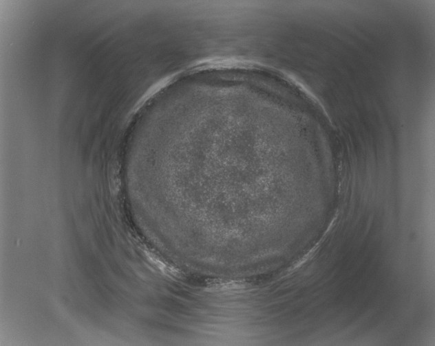 X0000080791213200701021215