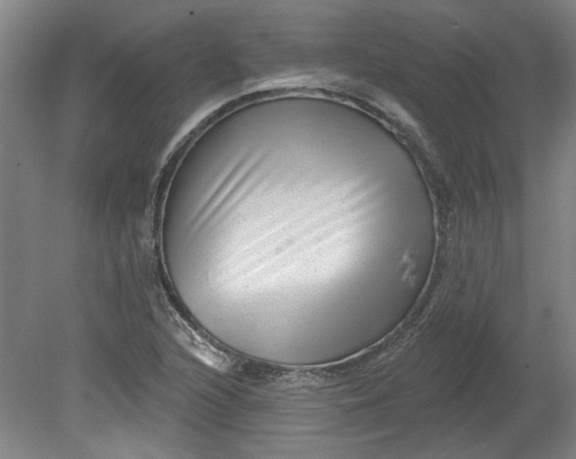 X0000080791216200701021215