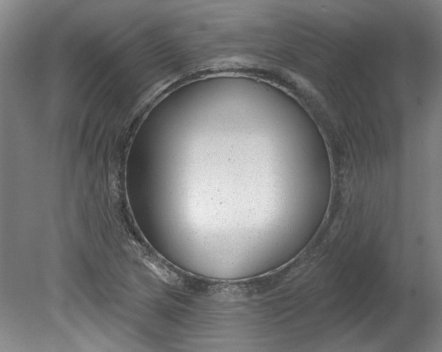 X0000080791217200701021215