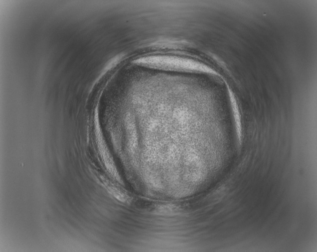 X0000080791219200701021215