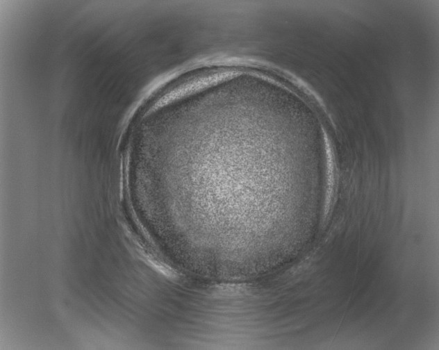 X0000080791223200701021215