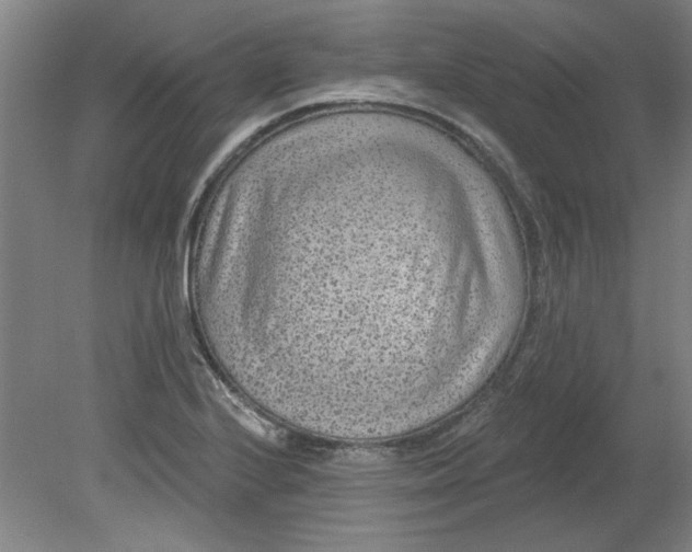 X0000080791224200701021215