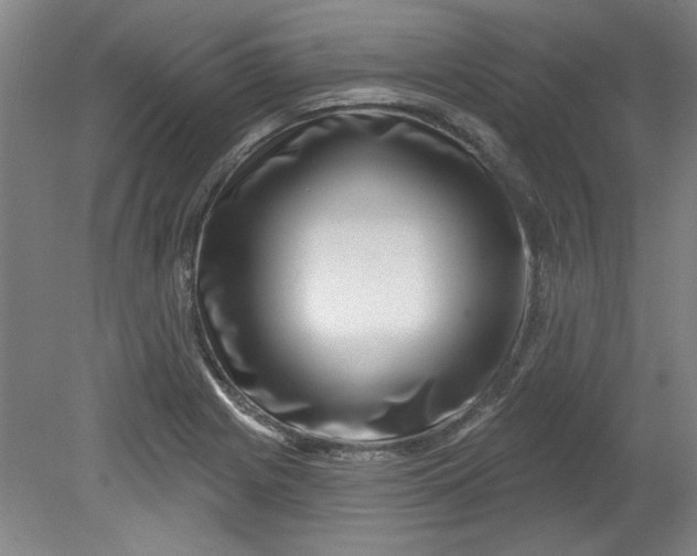 X0000080791225200701021215