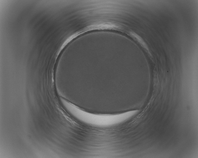 X0000080791226200701021215