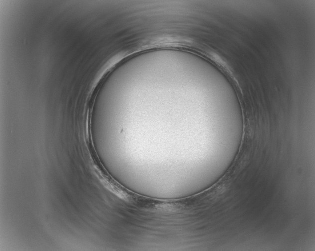 X0000080791227200701021215