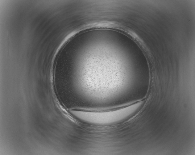 X0000080791232200701021215