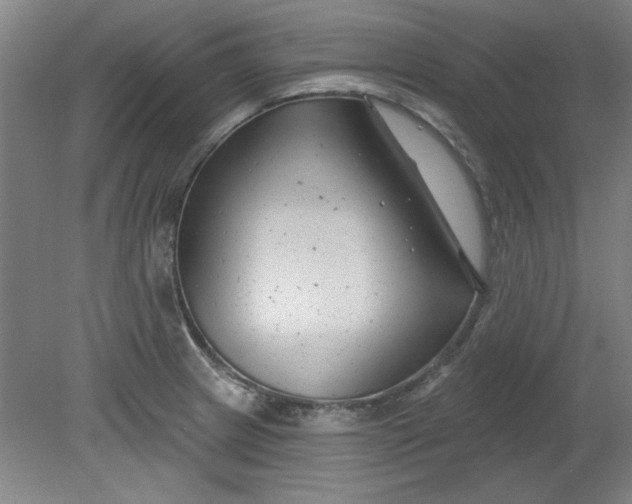 X0000080791233200701021216
