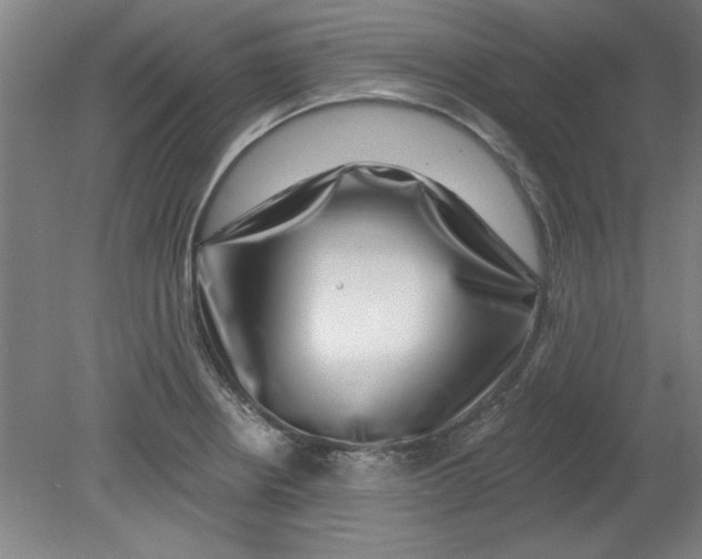 X0000080791234200701021216