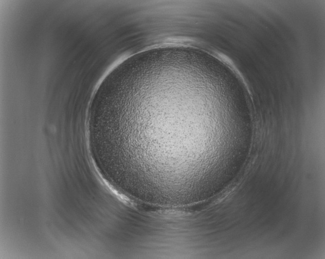 X0000080791235200701021216