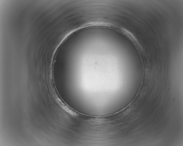 X0000080791236200701021216