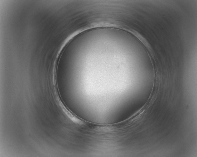 X0000080791246200701021216