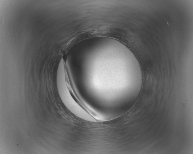 X0000080791250200701021215