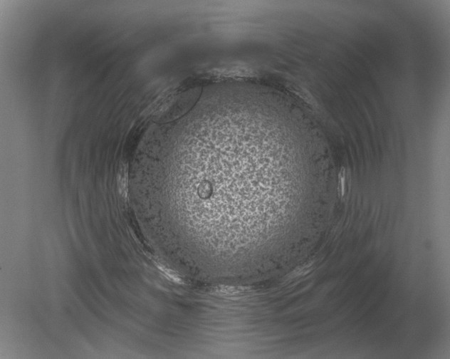 X0000080791251200701021215