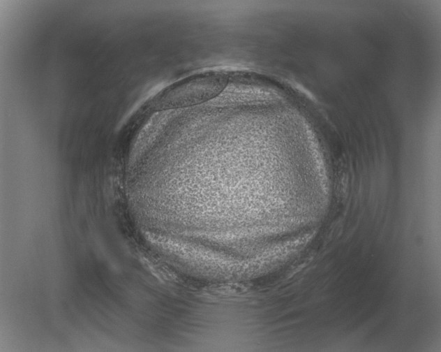 X0000080791255200701021215