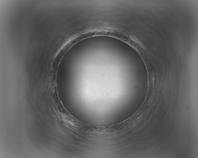 X0000080791256200701021215