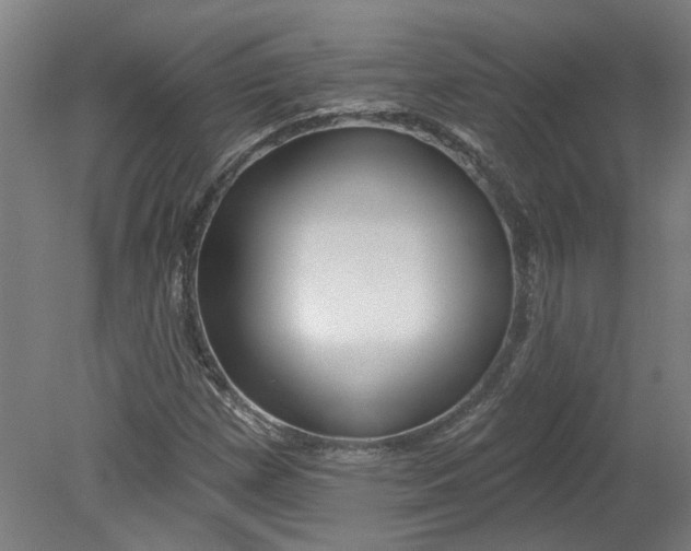 X0000080791257200701021215