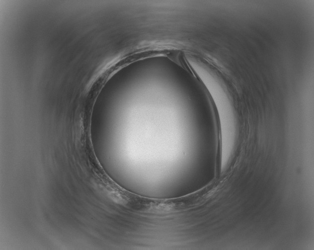 X0000080791261200701021215