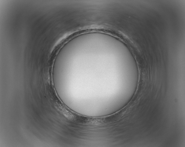 X0000080791262200701021215