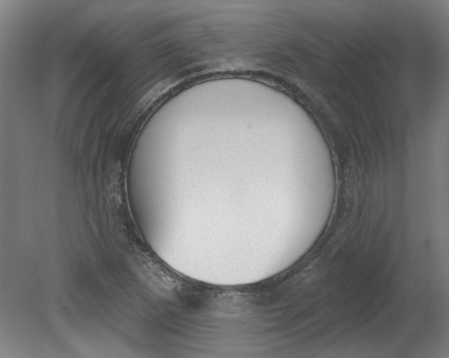 X0000080791265200701021215