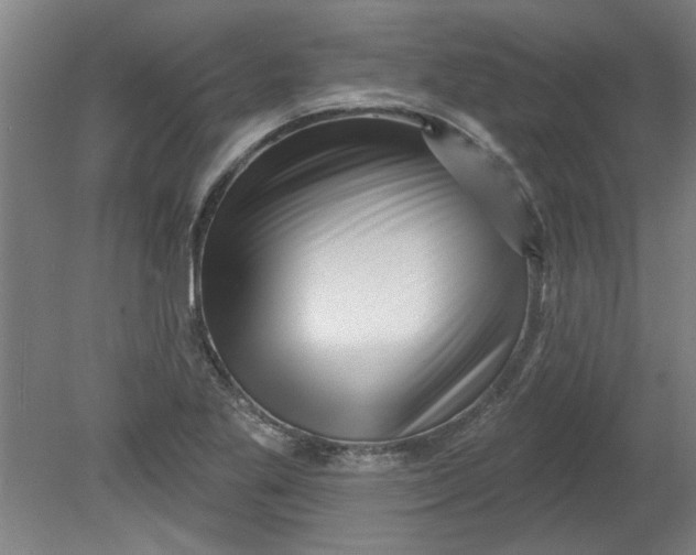 X0000080791269200701021215