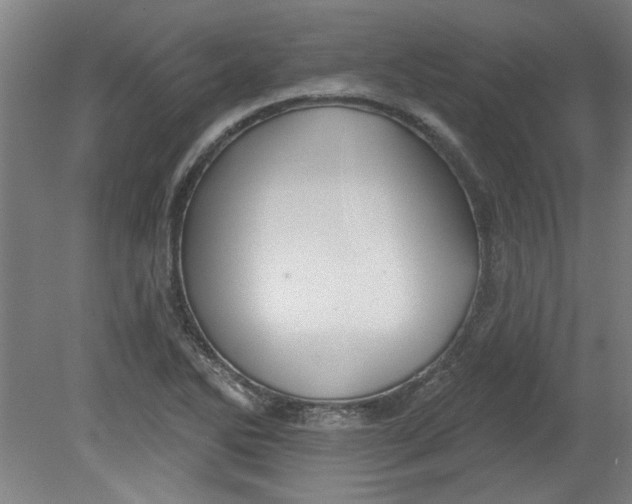 X0000080791270200701021214