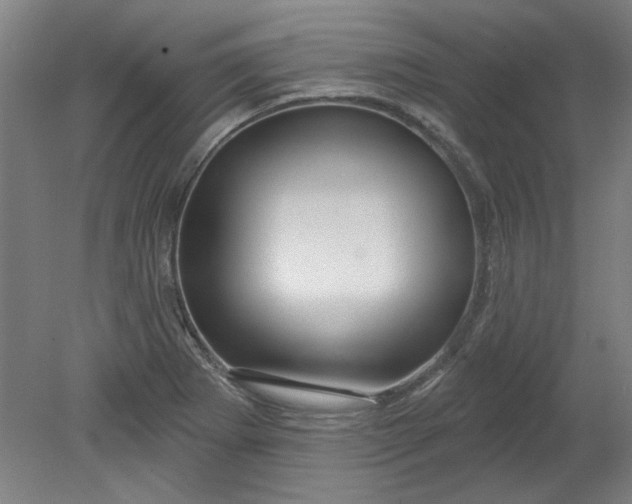 X0000080791273200701021214