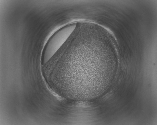 X0000080791279200701021214