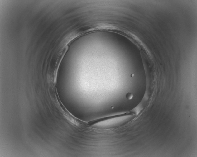 X0000080791281200701021214