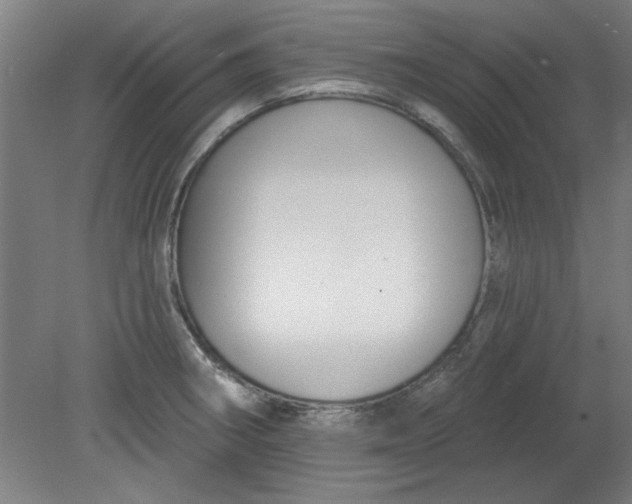 X0000080791282200701021214