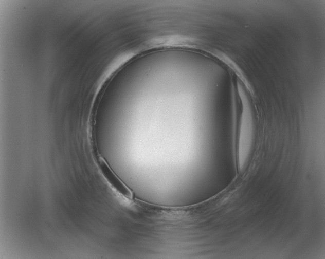 X0000080791285200701021214