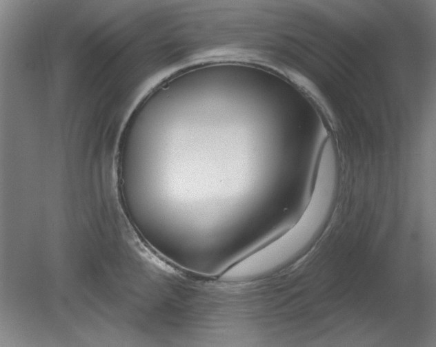 X0000080791288200701021214