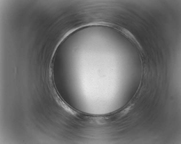 X0000080791292200701021214