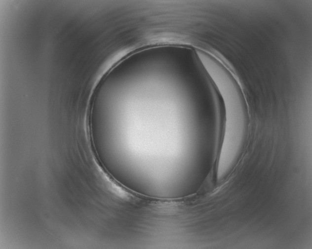 X0000080791293200701021214