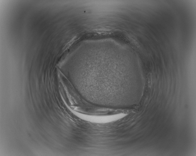 X0000080791298200701021213