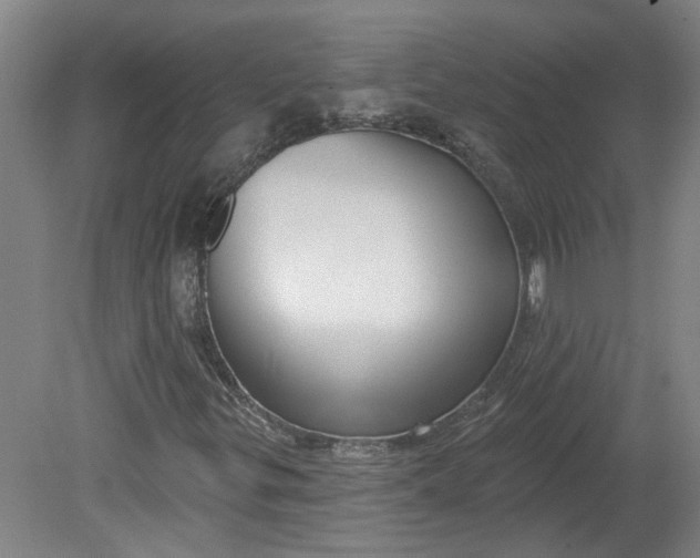X0000080791299200701021213
