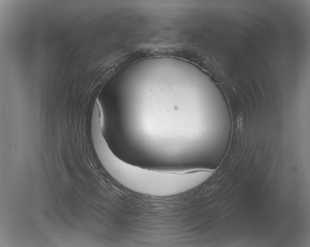 X0000080791300200701021213