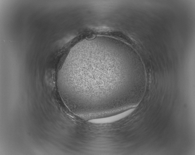 X0000080791301200701021213