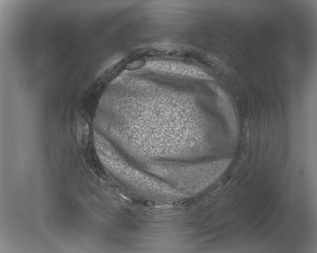 X0000080791302200701021213