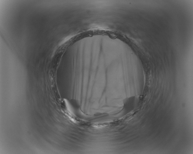 X0000080791303200701021213