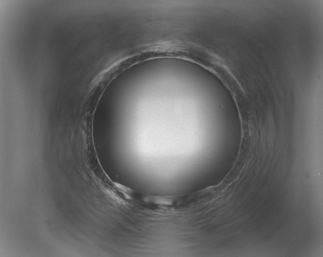 X0000080791304200701021213