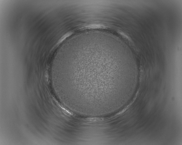 X0000080791305200701021213