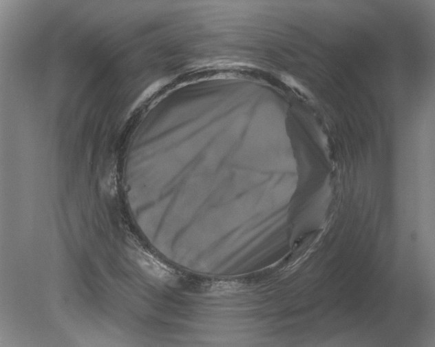 X0000080791306200701021213