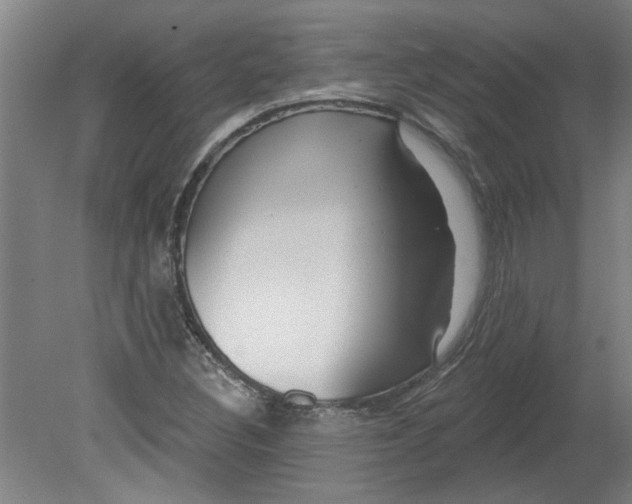 X0000080791308200701021213
