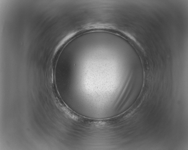 X0000080791317200701021214